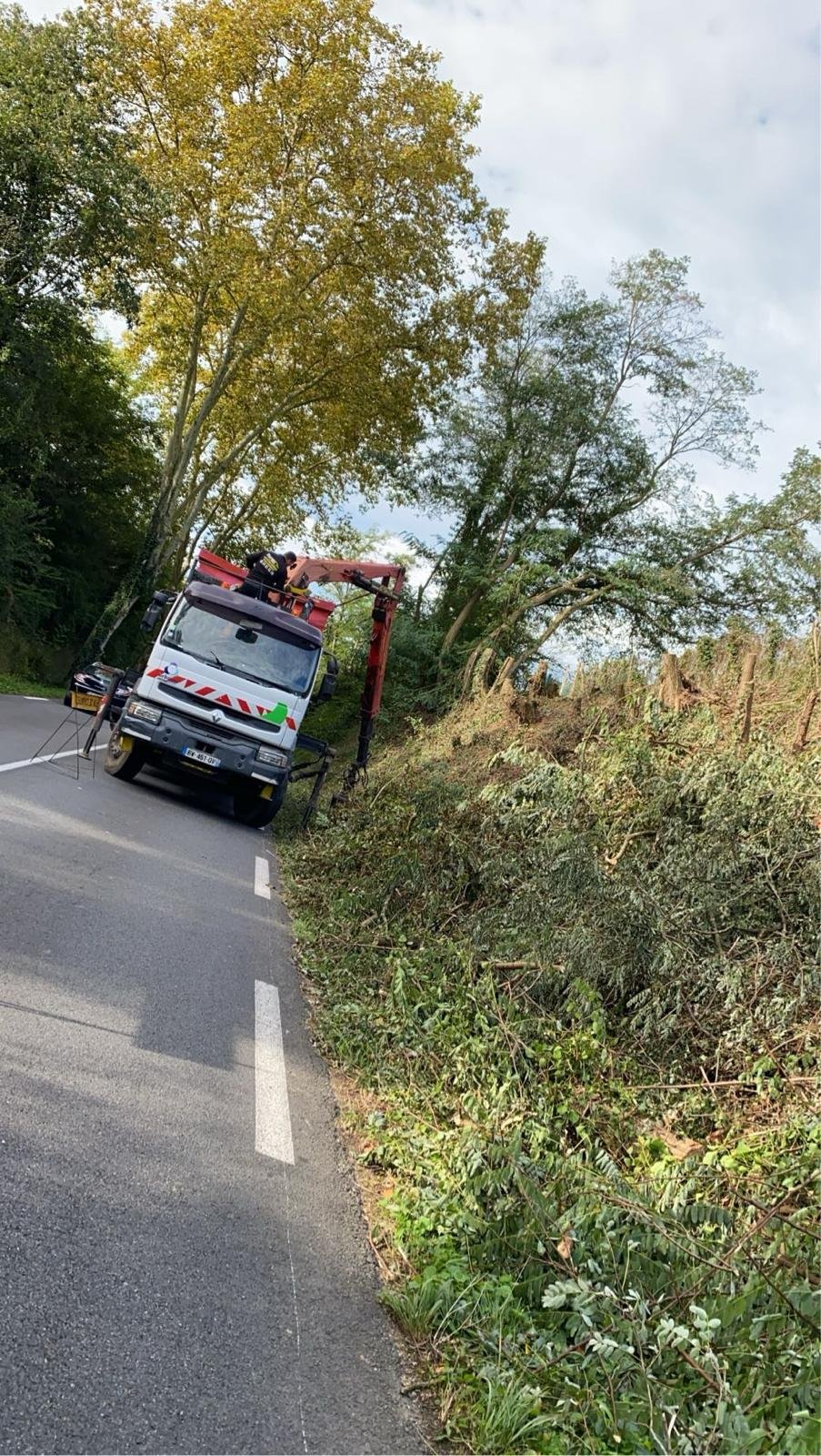 Travaux d’abattage et d’élagage d’arbres dans les Pyrénées-Atlantiques (64) - Photo 16