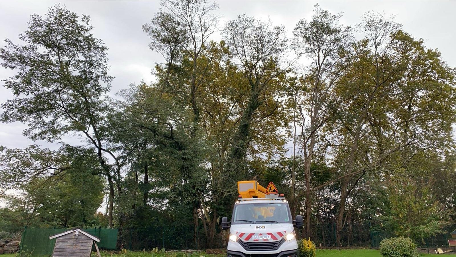 Travaux d’abattage et d’élagage d’arbres dans les Pyrénées-Atlantiques (64) - Photo 14