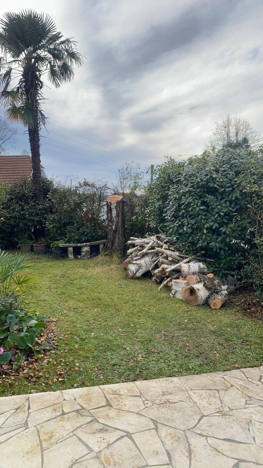Travaux d’abattage et d’élagage d’arbres dans les Pyrénées-Atlantiques (64) - Photo 5