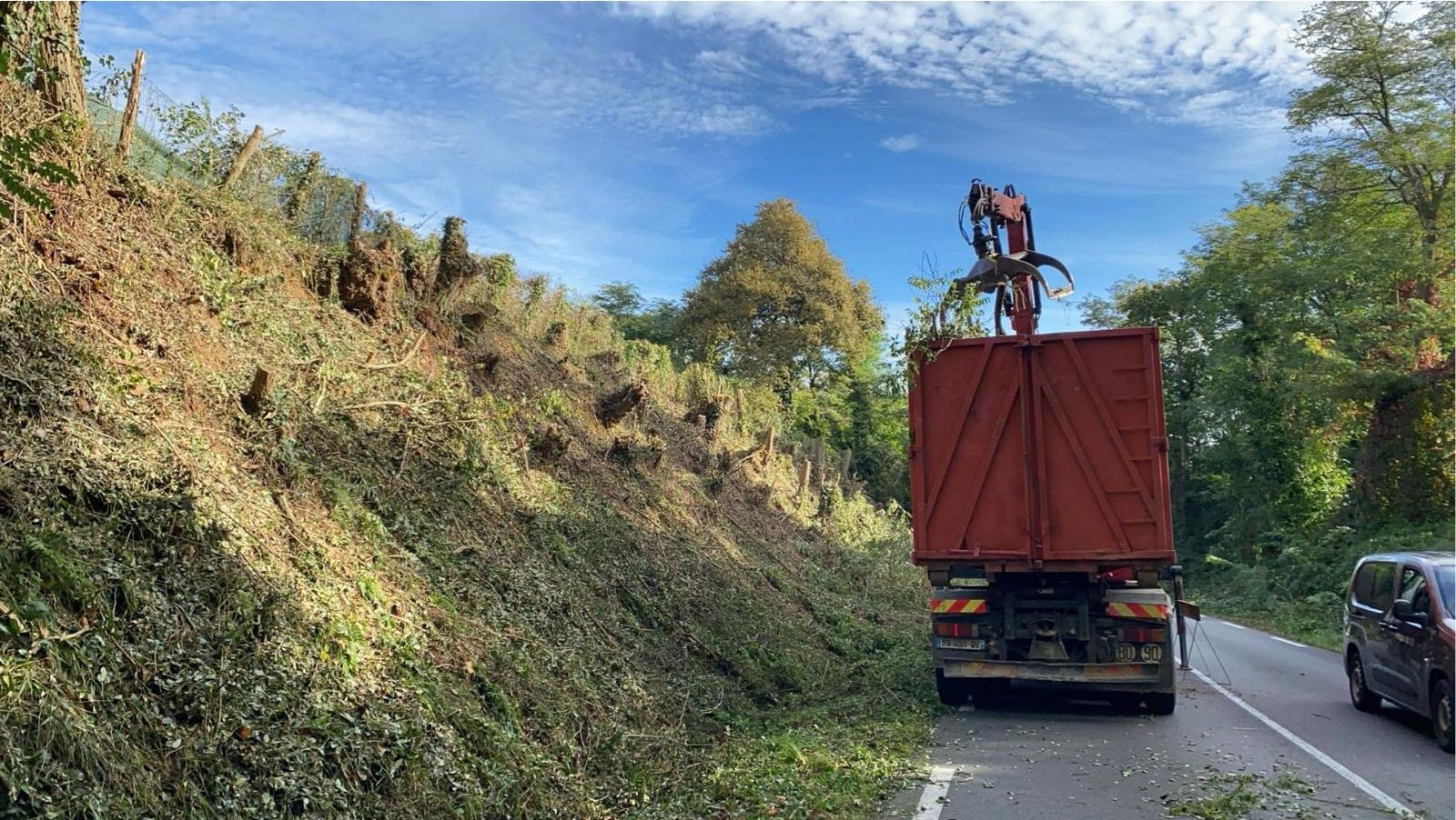 Travaux d’abattage et d’élagage d’arbres dans les Pyrénées-Atlantiques (64) - Photo 17