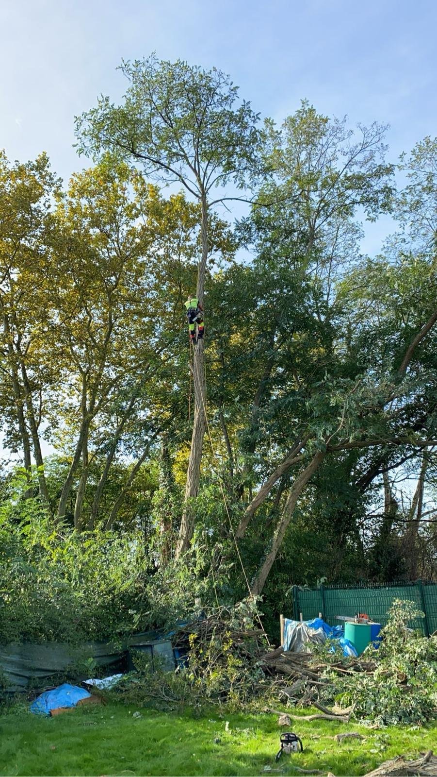 Travaux d’abattage et d’élagage d’arbres dans les Pyrénées-Atlantiques (64) - Photo 20