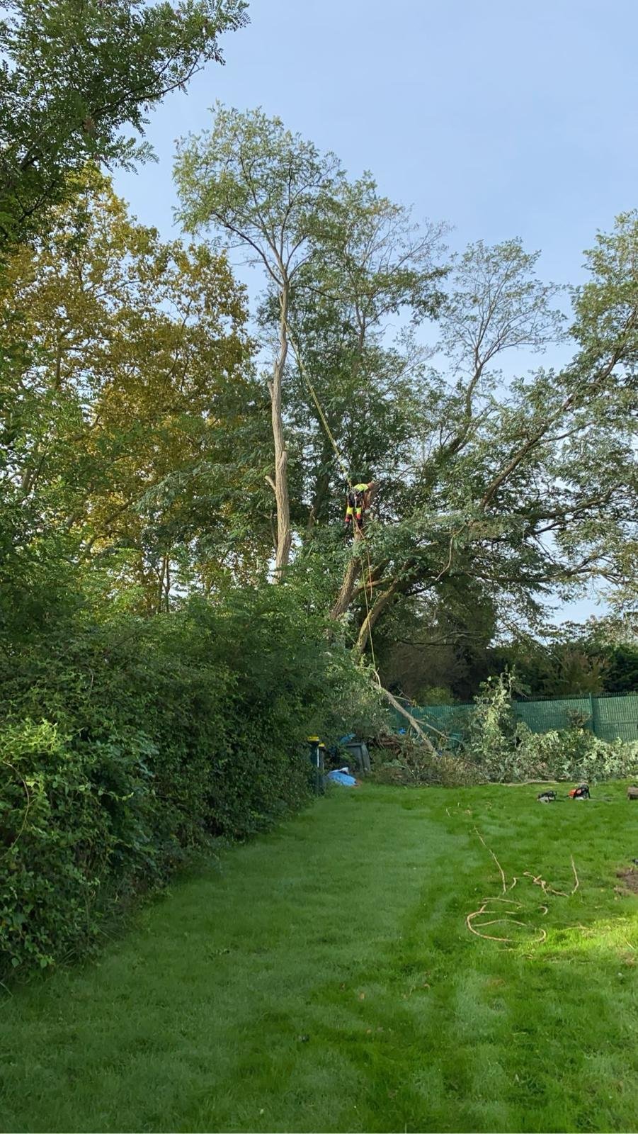 Entretien de jardin et espaces verts dans les Pyrénées-Atlantiques (64) - Photo 11