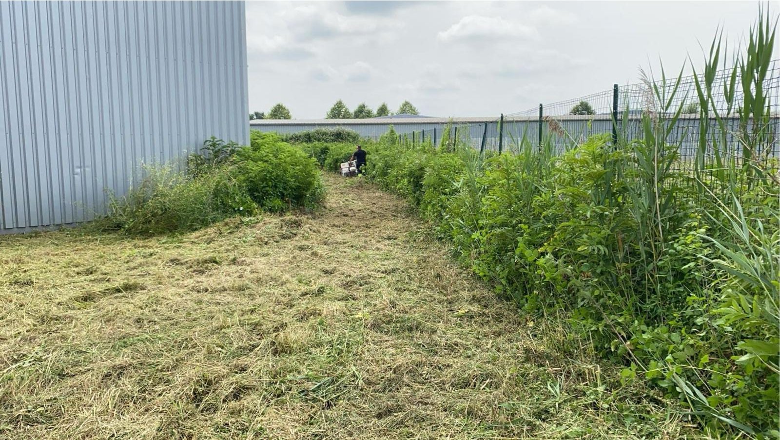 Taille de haies dans les Pyrénées-Atlantiques - Photo 4