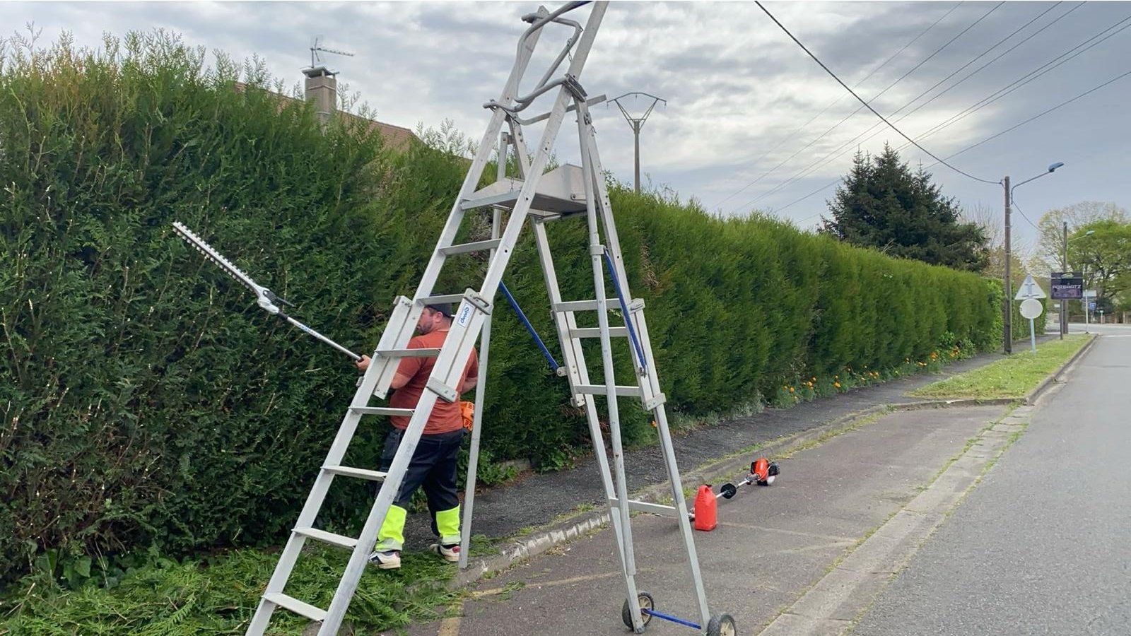 Taille de haies dans les Pyrénées-Atlantiques - Photo 8