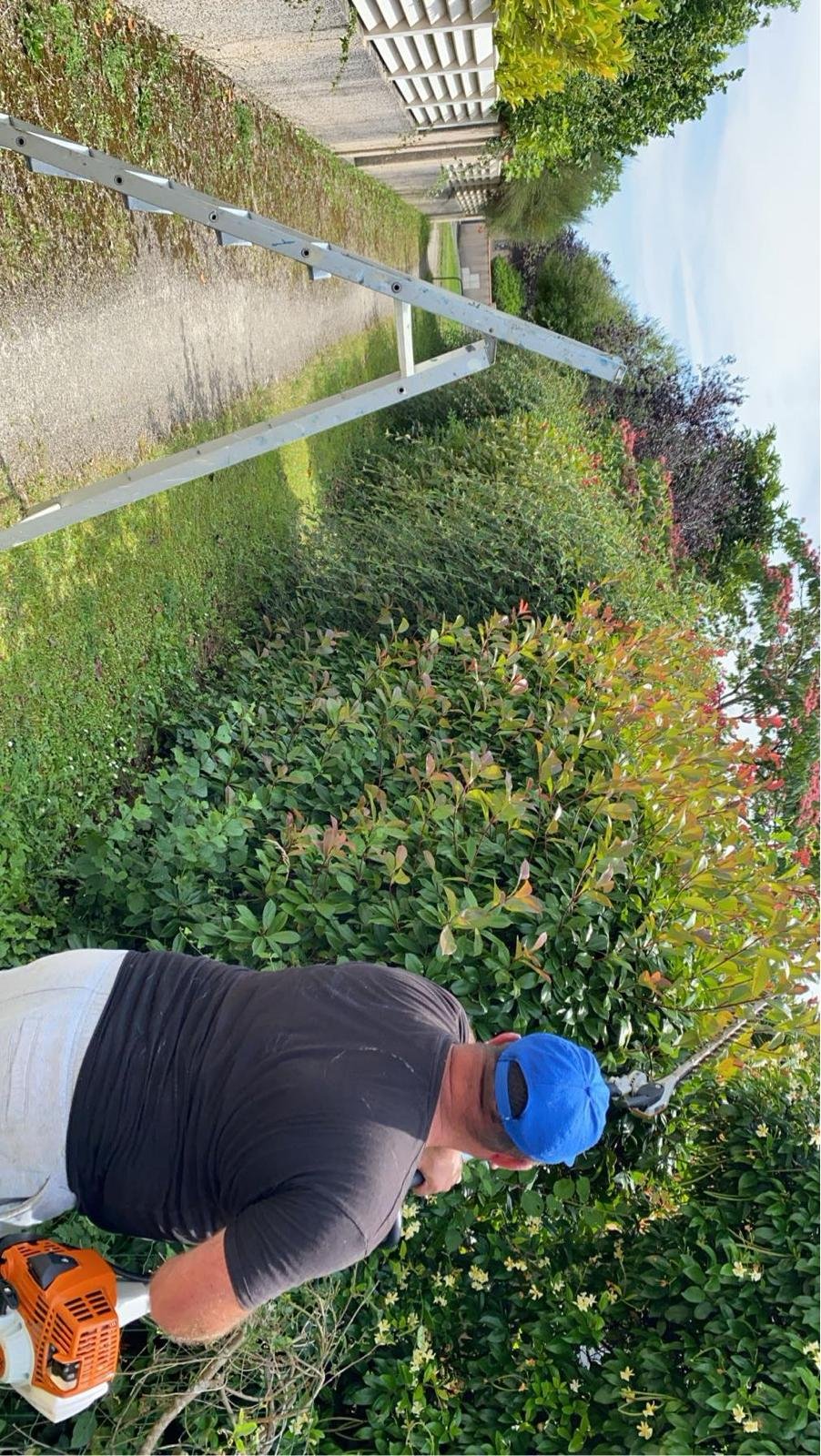 Taille de haies dans les Pyrénées-Atlantiques - Photo 2