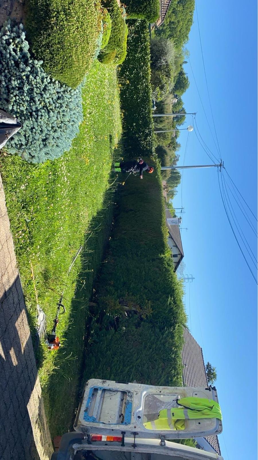 Taille de haies dans les Pyrénées-Atlantiques - Photo 6