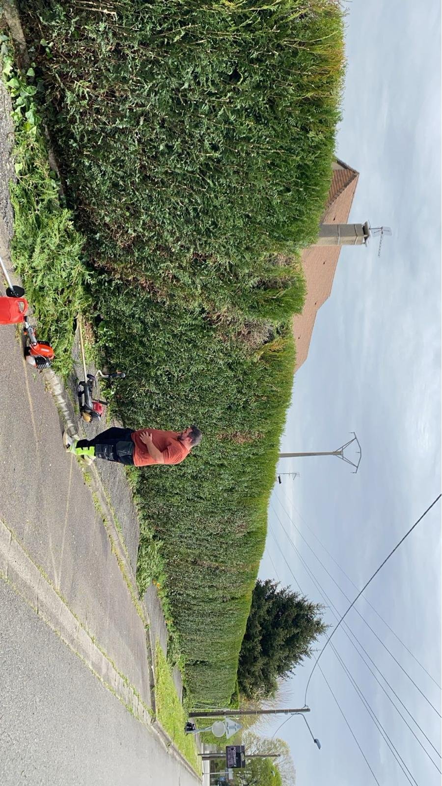 Taille de haies dans les Pyrénées-Atlantiques - Photo 7