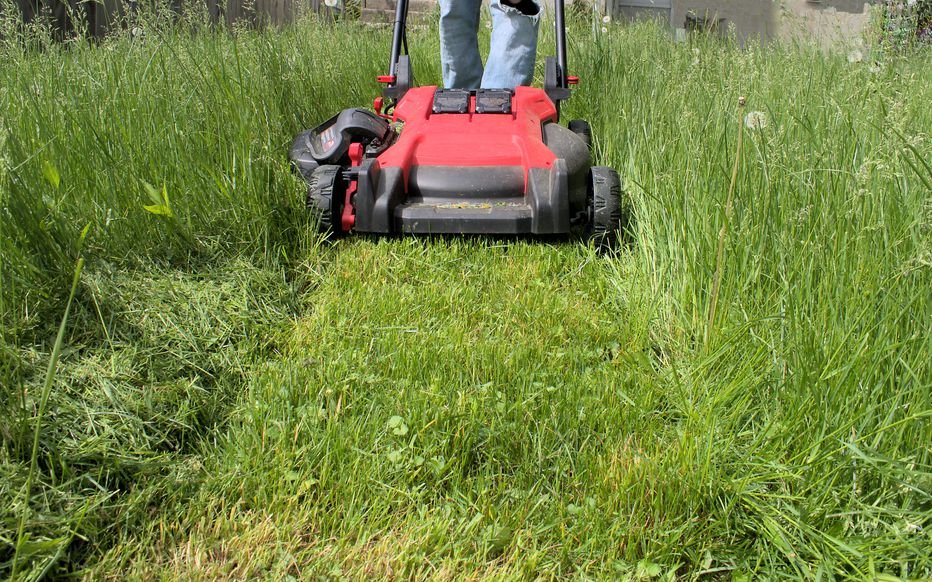Tonte de pelouse et débroussaillage
